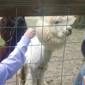 Meet your Posher, Ok